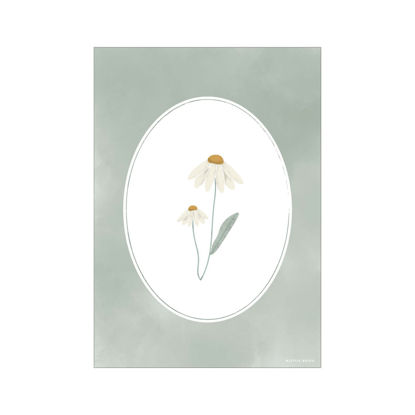 Bild von Poster Wild Flowers