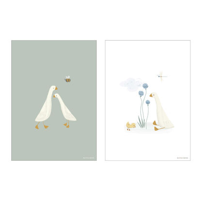 Bild von Poster Little Goose