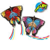 Bild von Rhombus Pop-up Butterfly