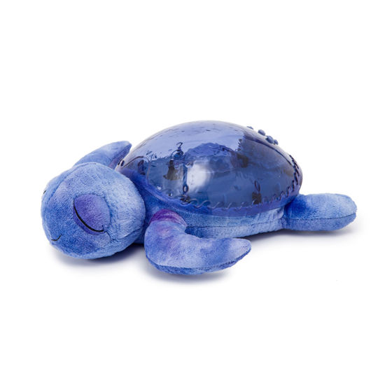 Bild von Tranquil Turtle® - Ocean