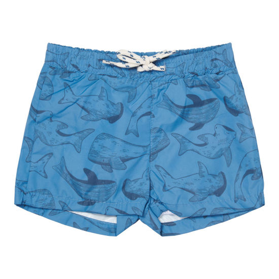 Bild von Badeshorts Sea Life Blue - 74/80