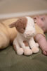 Bild von Kuscheltier Kuh 17cm Little Farm