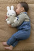 Bild von Miffy Kuscheltiere 25cm Fluffy green