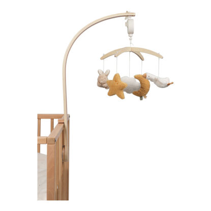 Bild von Musik mobil FSC Newborn