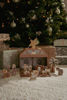 Bild von Weihnachtskrippe FSC