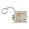 Bild von Safari Friends - Buggy-Buch
