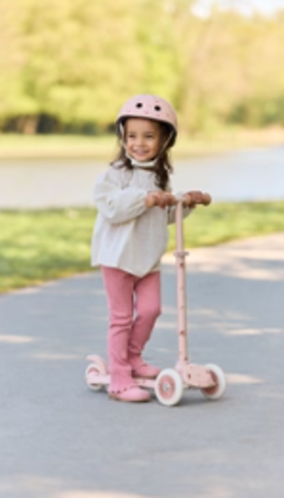Bild von Scooter Pink