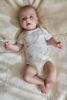 Bild von Newborn NOOS Safari Freunde Strampler kurzarm Little Safari 50
