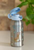 Bild von Edelstahl-Trinkflasche mit Flip-Cap, Campus, 600 ml - forest Friends
